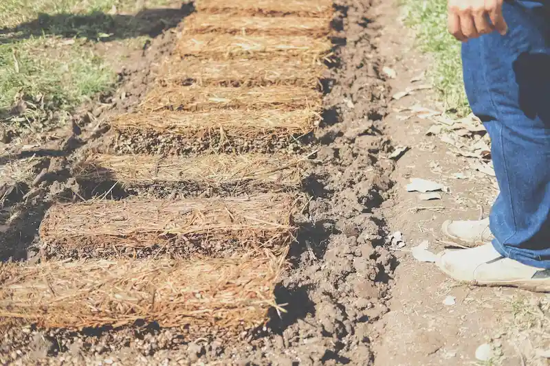 Tratamiento de Suelos