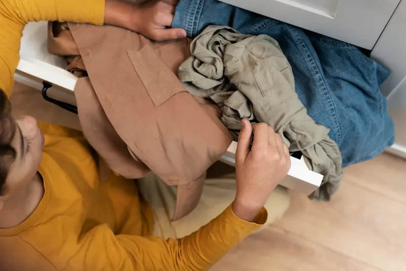 Control de Plagas en Control de la Plaga de Polillas